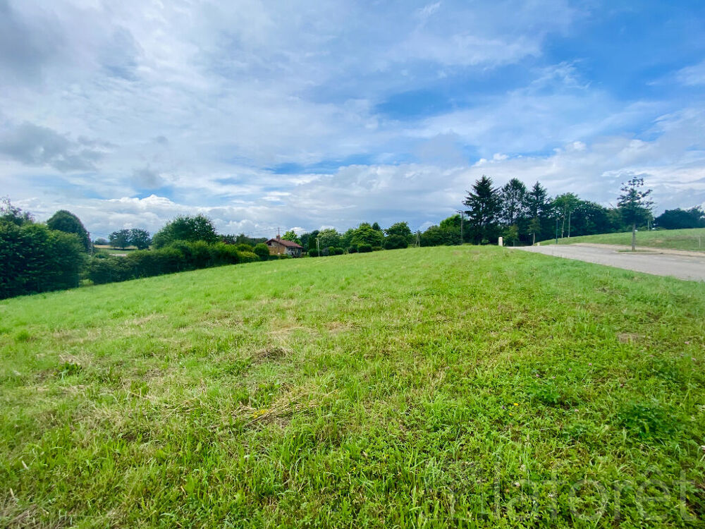 Vente Terrain Terrain VESCOURS 1030 m2 Vescours