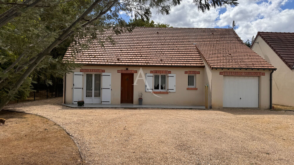 Vente Maison PAVILLON DE PLAIN-PIED A VENDRE - PRUNIERS EN SOLOGNE Pruniers en sologne