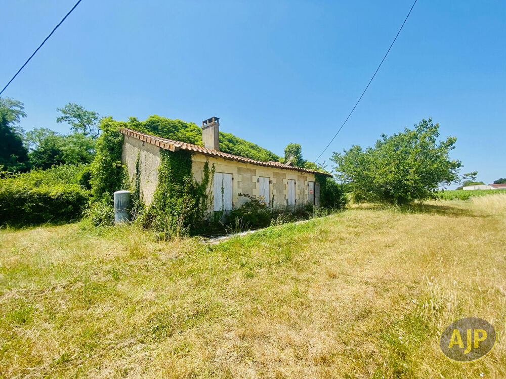 Ruine avec 1ha de terrain au milieu des vignes !
