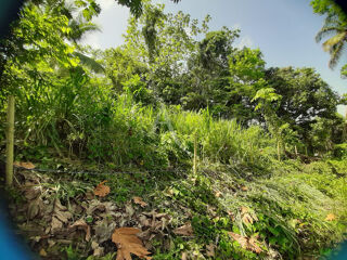  Terrain � vendre 1082 m�