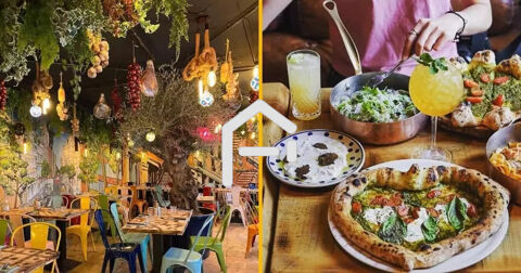 Fonds de commerce et murs Restaurant italien 799000 31830 Plaisance du touch