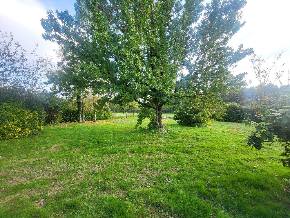 Vente Terrain Magnifique terrain à bâtir non viabilisé , Potentiel exceptionnel à SAINT MARCEL Saint andre de corcy