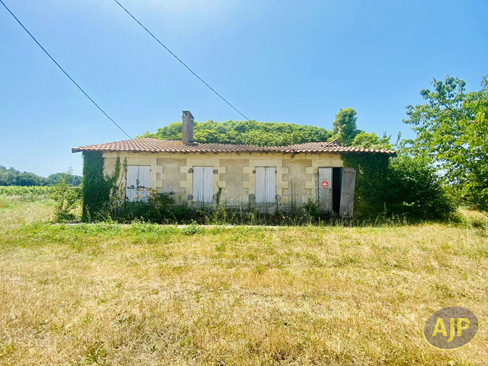Vente Maison Ruine avec 1ha de terrain au milieu des vignes ! Couqueques