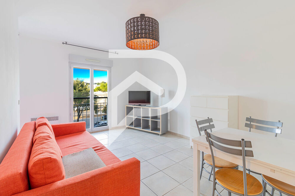 Location Appartement Splendide studio 28m² Marseille 13008 Marseille 8