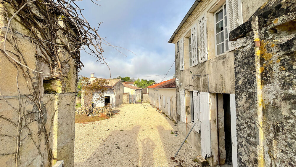 Vente Maison A VENDRE MAISON DE CARACTERE DE 350 M2 SUR 1950 M2 DE TERRAIN - SECTEUR BLAYE Blaye