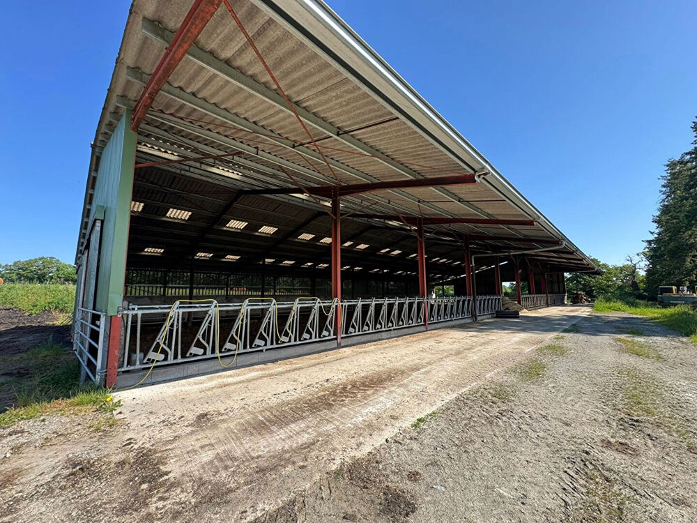 Haute Vienne - Exploitation agricole de 151 hectares avec grande maison et dépendances