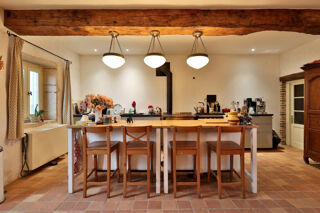  Maison à vendre 15 + pièces 465 m²