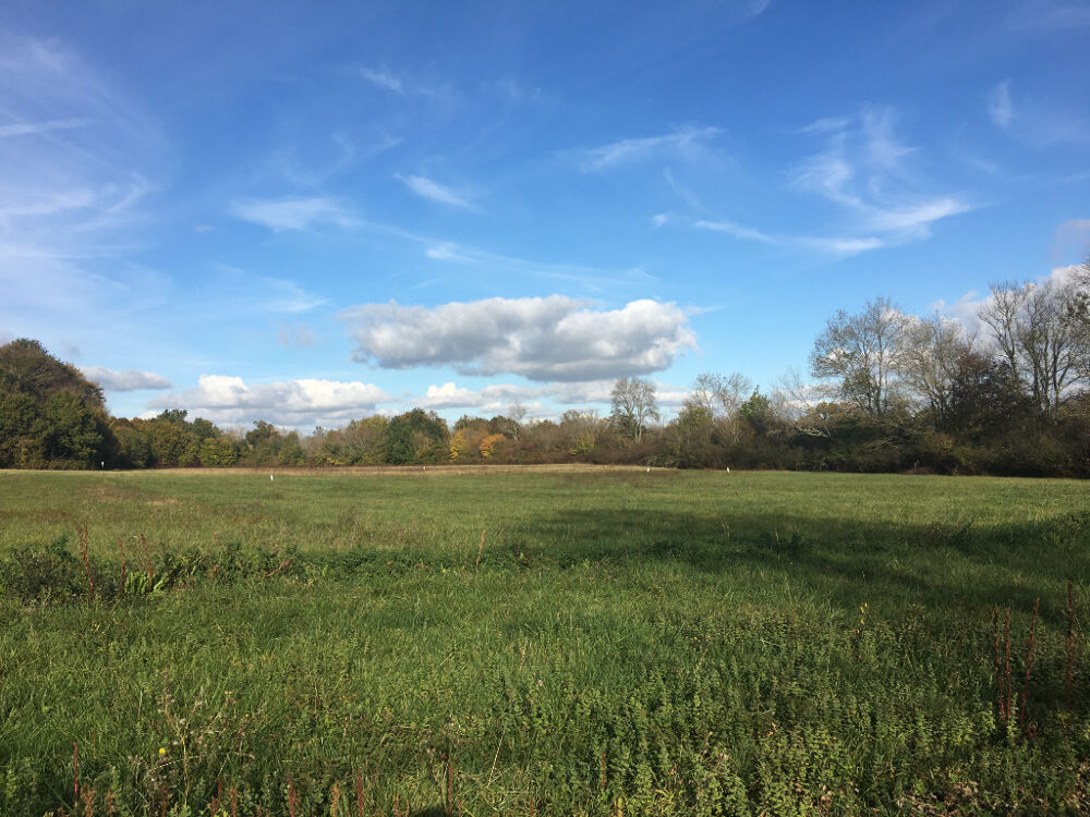 Vente Terrain Terrain 1300m² - Saint Germain d'Esteuil Saint germain d esteuil