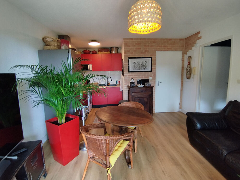 TRES BEL APPARTEMENT COSY