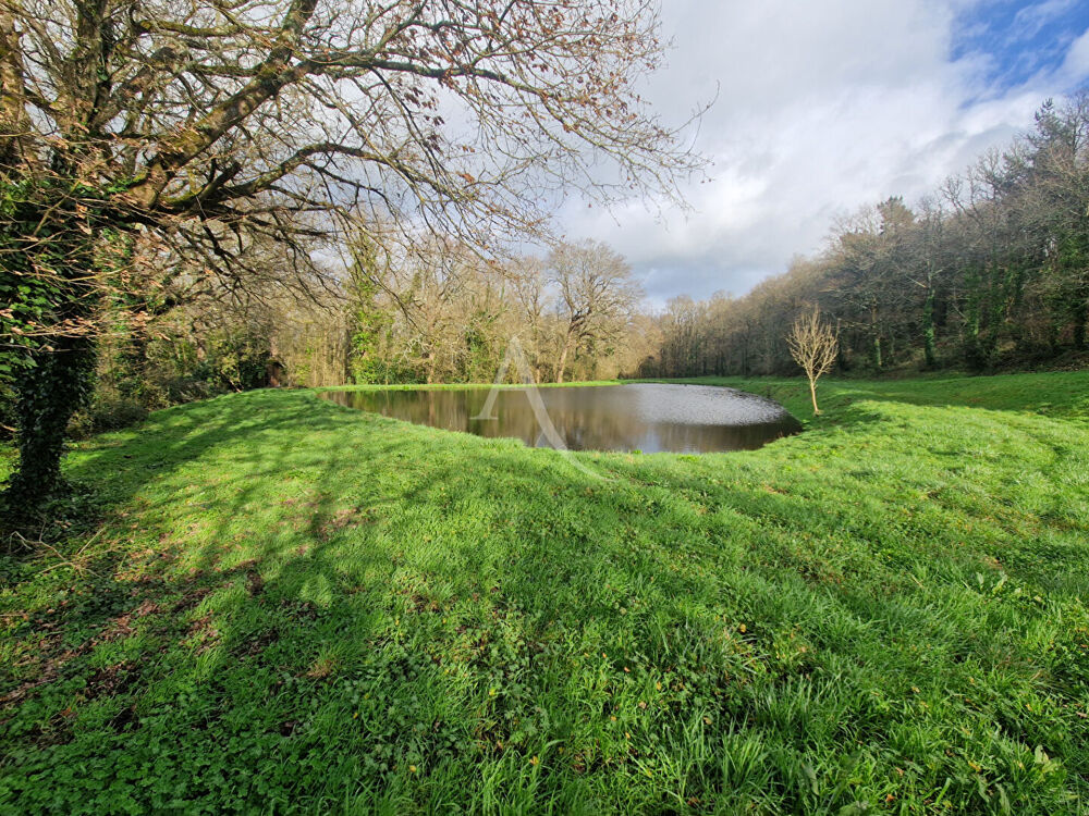 Vente Terrain Terrain de loisir avec bassin. La Chaize Giraud La chaize giraud