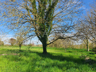  Maison � vendre 4 pi�ces 102 m�