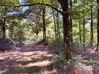  Parking / Garage � vendre 329255 m� La ferte saint aubin