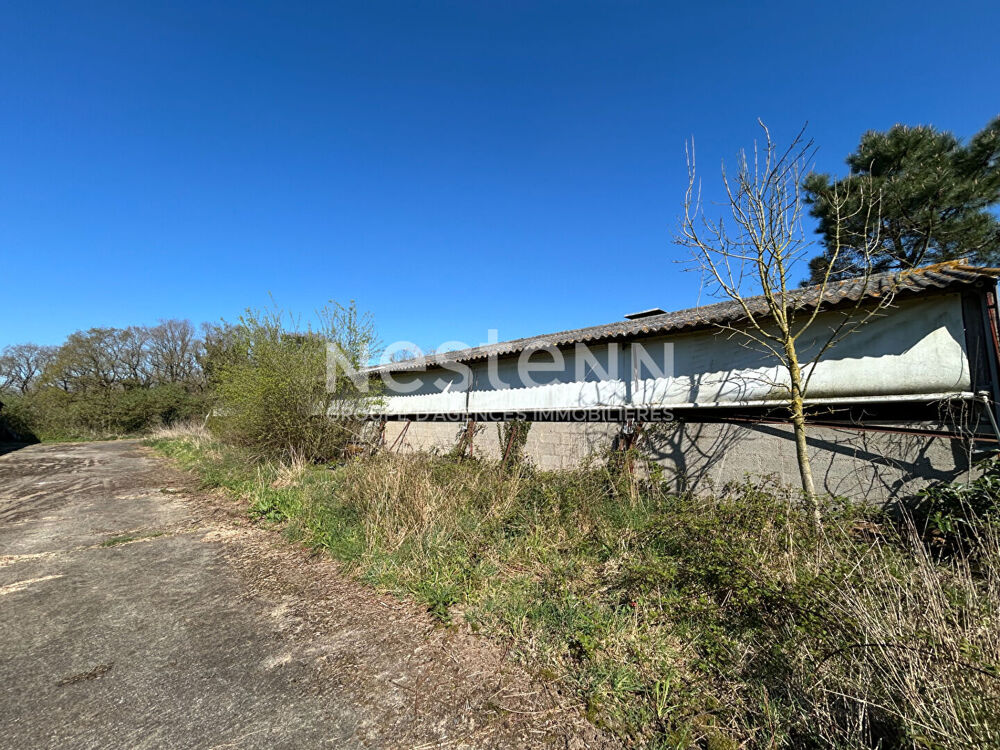 Vente Remise/Grange Hangars à Questembert - Vaste terrain d'1 hectare - 2 bâtiments Questembert