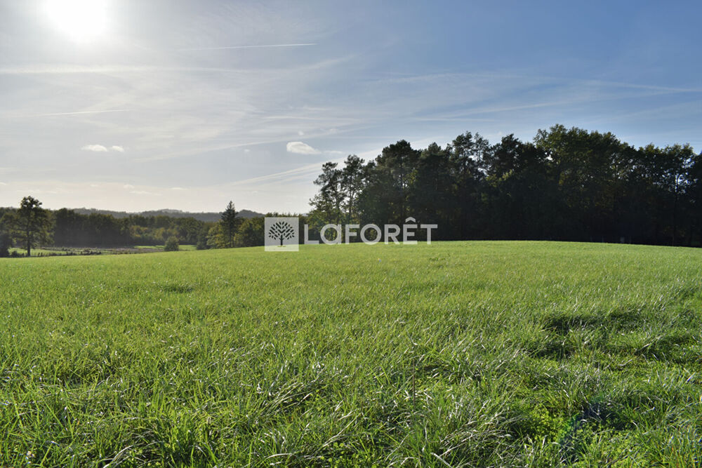 Vente Terrain Terrain Allassac 14800 m² Allassac