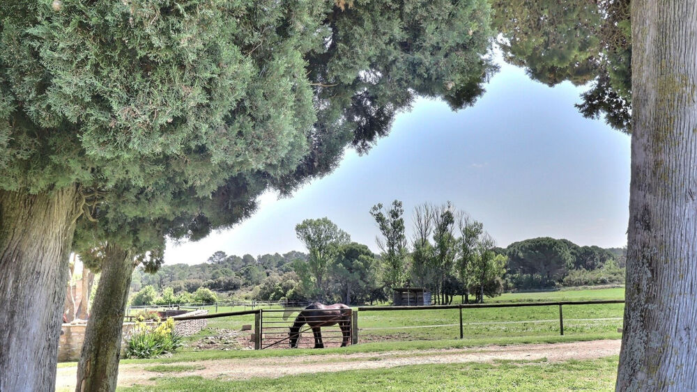 � vendre  Maison N�mes (30000)