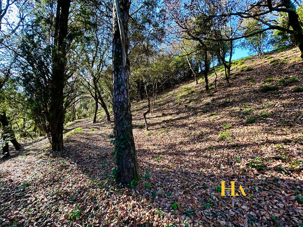 � vendre  Maison Mont�limar (26200)