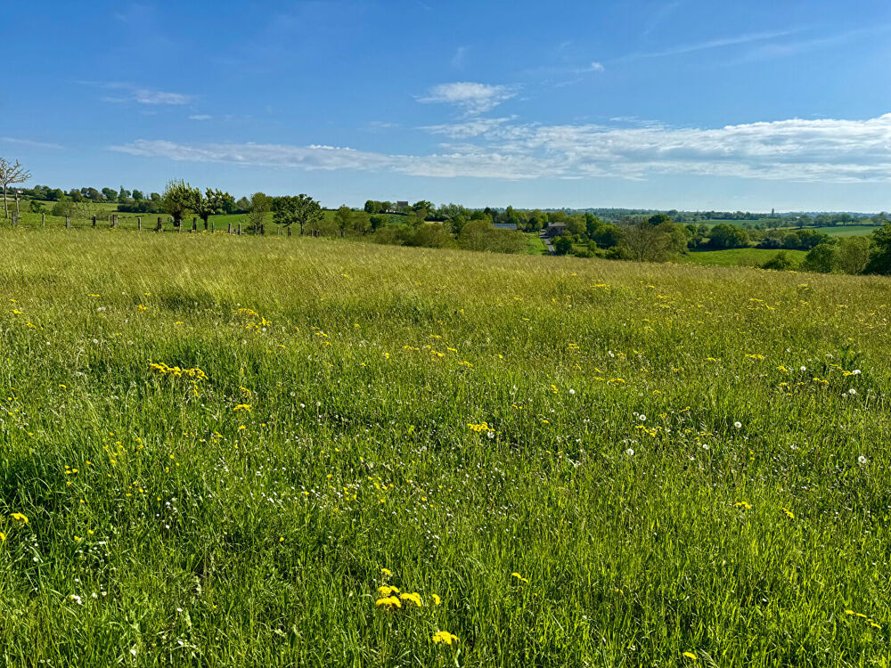 Vente Terrain Terrain constructible 2100m2  - Sainte Juliette Sur Viaur Sainte juliette sur viaur