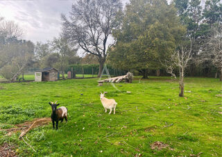  Maison  vendre 6 pices 111 m