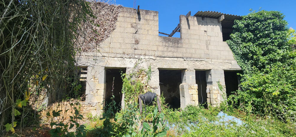 CURZAY SUR VONNE - TERRAIN + BATIMENT