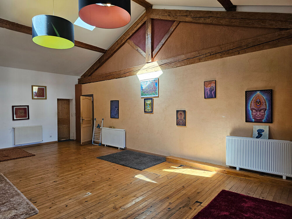 Vente Maison Ancienne manufacture rénovée avec jardin, garage et atelier Belesta