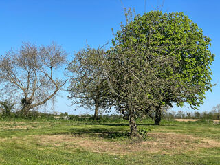  Terrain  vendre 1 m La jonchere