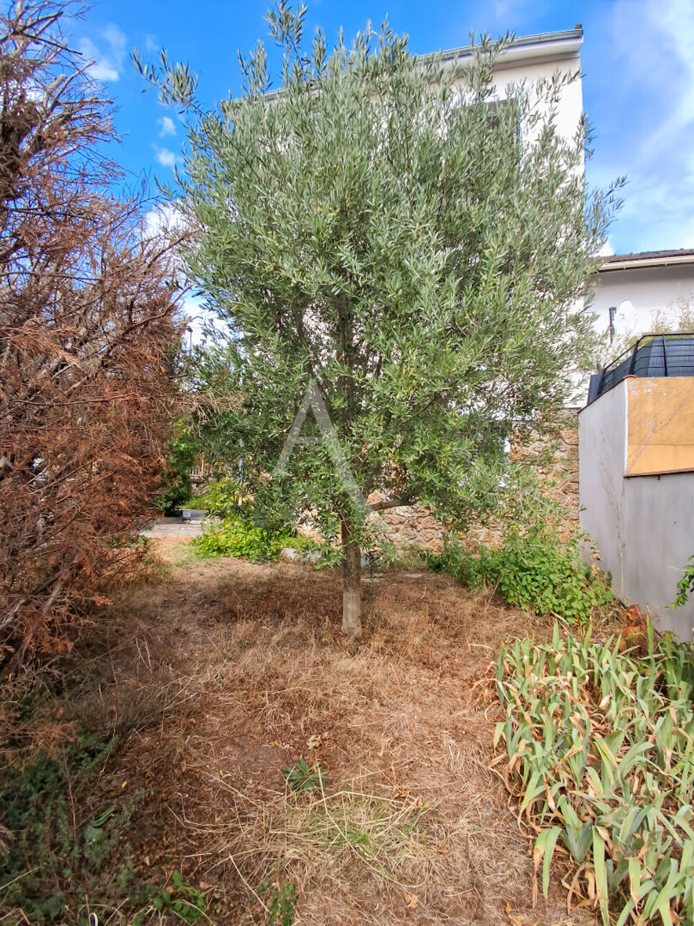 à vendre  Maison Suresnes (92150)