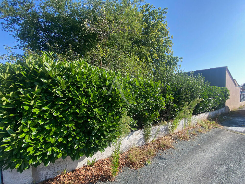 Vente Terrain LA ROCHE SUR YON TERRAIN A VENDRE EXCLUSIVITE AMANDA La roche sur yon