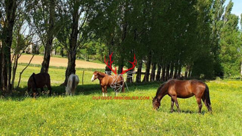   Structure �questre de 20ha Maison - 5 pi�ce(s) - 640 m�