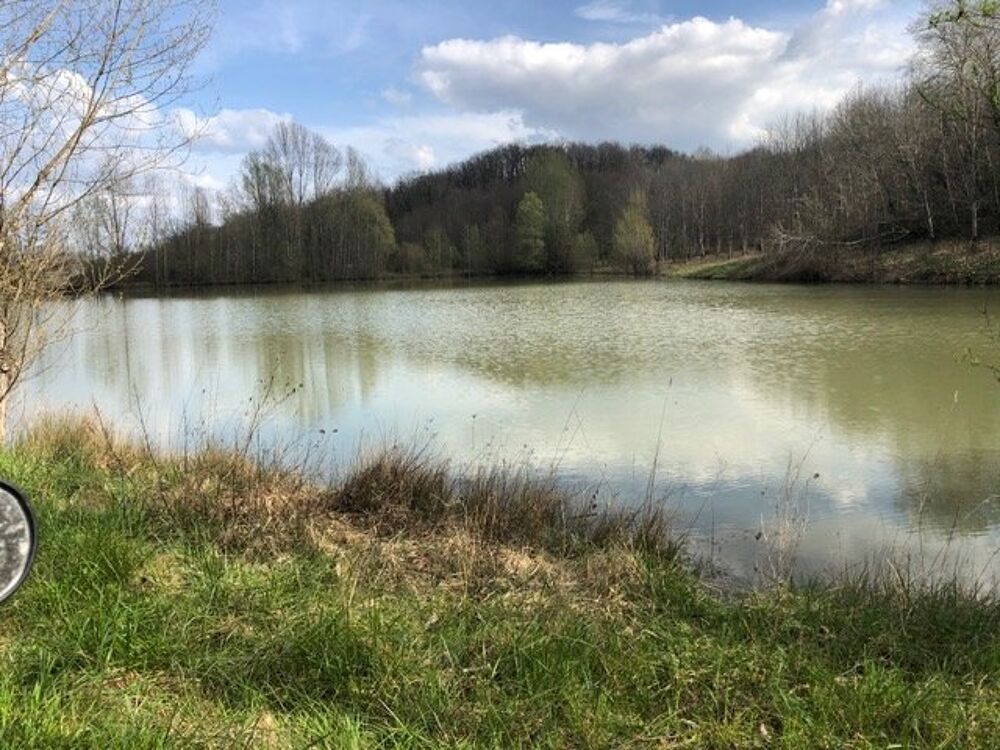 à vendre  Maison Mirabel (82440)