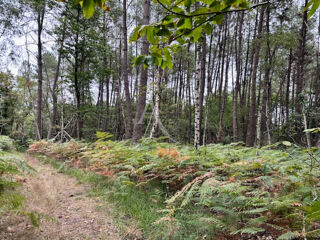  Parking / Garage � vendre 