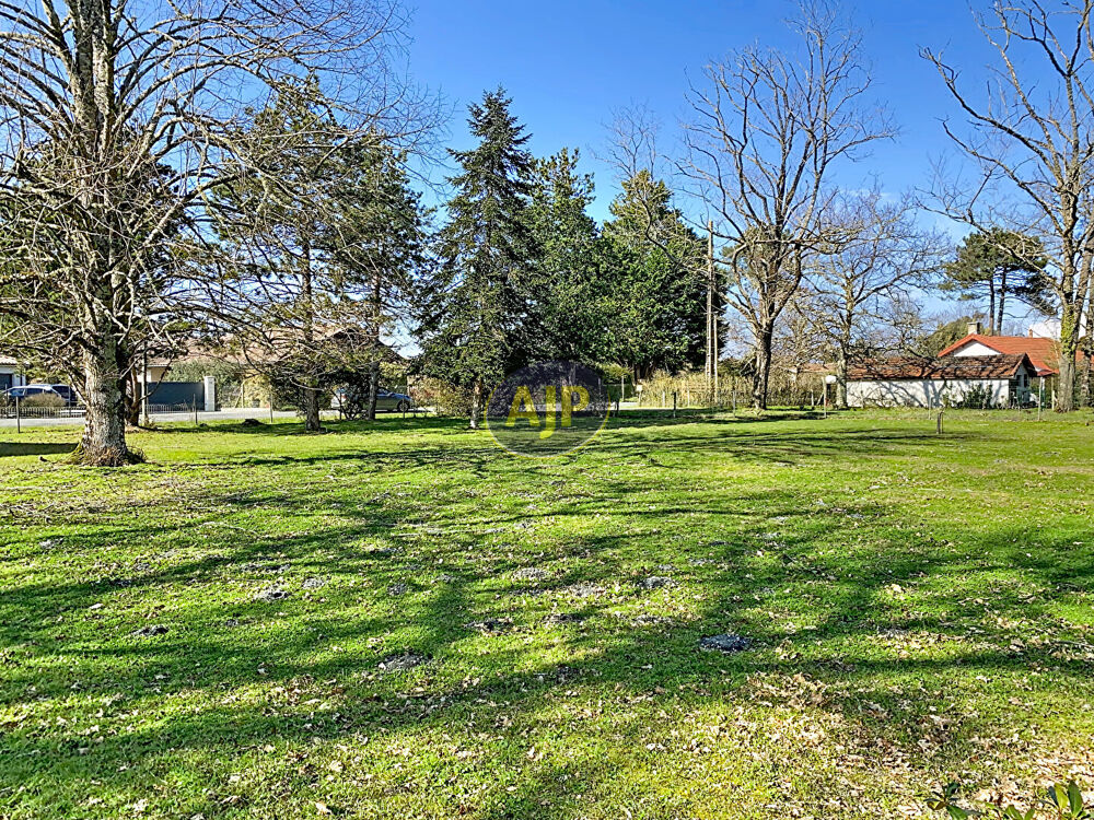 Vente Terrain Terrain Hourtin 973 m2 Hourtin