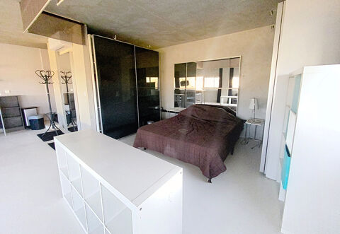  Appartement � louer 1 pi�ce 45 m�