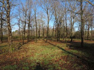  Terrain à vendre 6155 m²