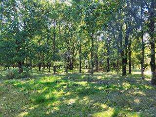  Terrain � vendre 7282 m�