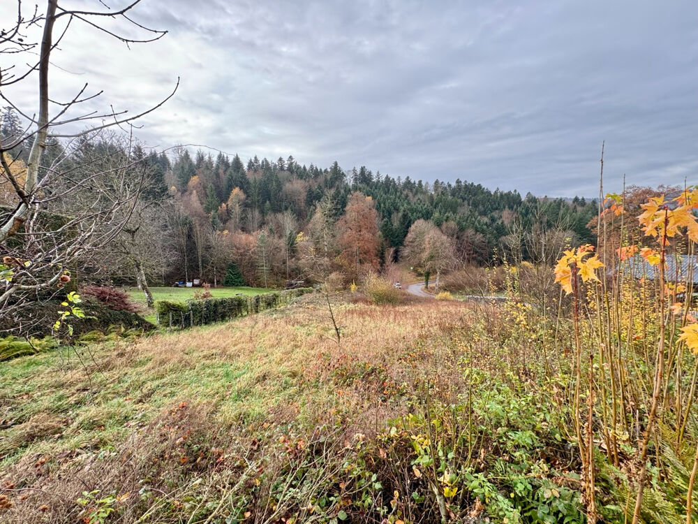 Vente Terrain Solbach - terrain de 21,36 ares Solbach