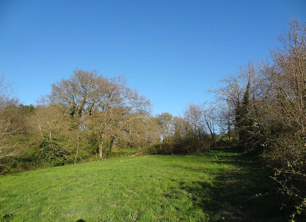 Vente Terrain Terrain Mussidan 1793 m2 Mussidan