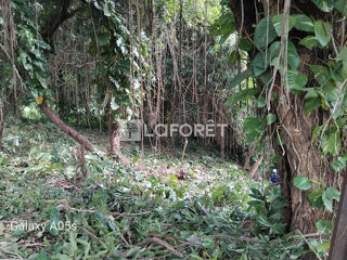  Terrain � vendre 1030 m�