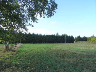  Terrain � vendre 3184 m�