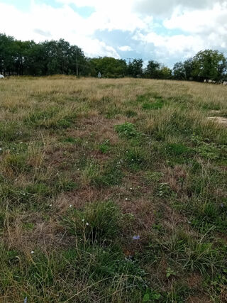  Terrain à vendre 3790 m²
