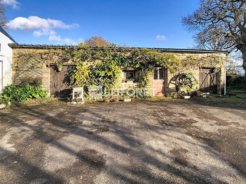 Maison Réminiac 117 m² 4 chambres garage puits hangar jardin