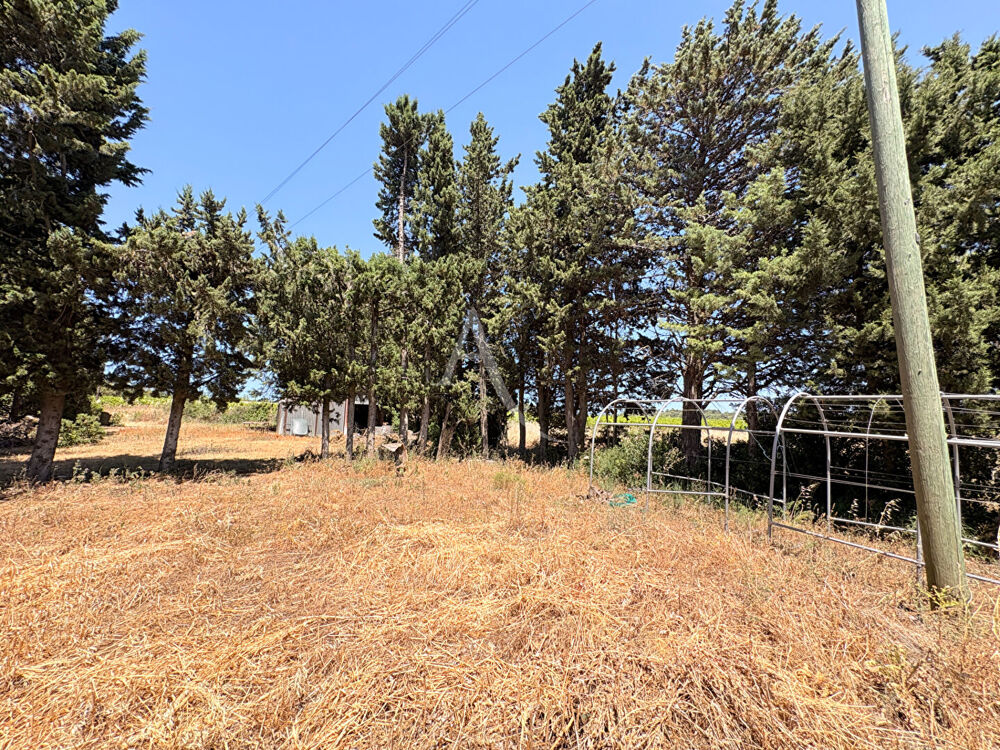 Vente Terrain Terrain Villegailhenc 838 m2 Villegailhenc