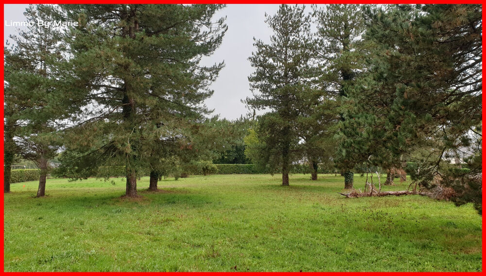 Vente Terrain Terrain Guemene Penfao 1840 m2 Guemene penfao