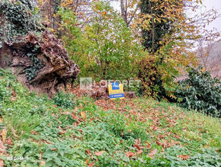  Maison � vendre 4 pi�ces 77 m�