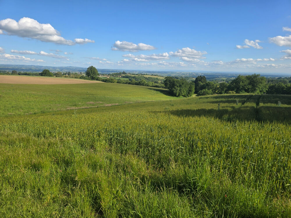 Vente Terrain Terrain Baraqueville 1500 m2 Baraqueville