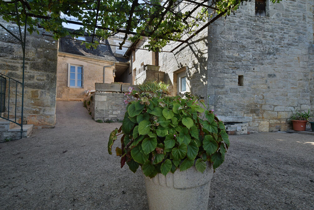 Vente Maison Charme et authenticité ? Magnifique maison en pierre à Nespouls Nespouls