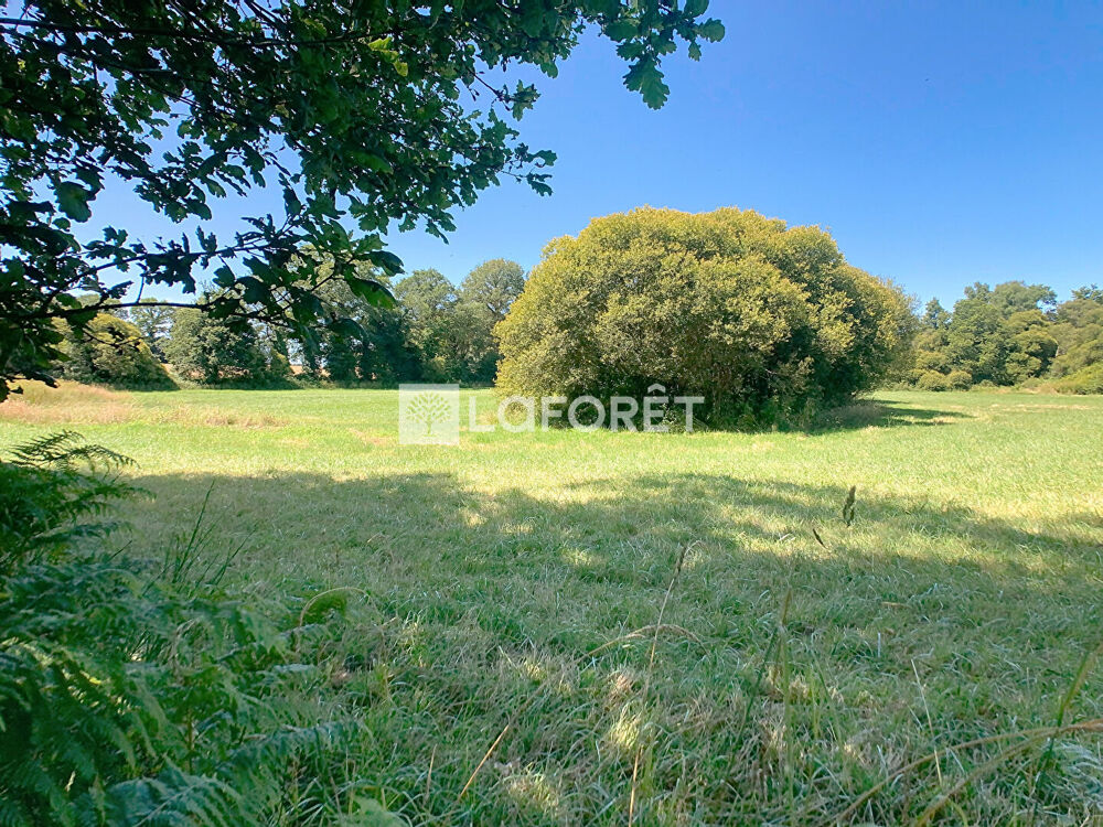 Vente Terrain Terrain Mohon 8921 m2 Mohon