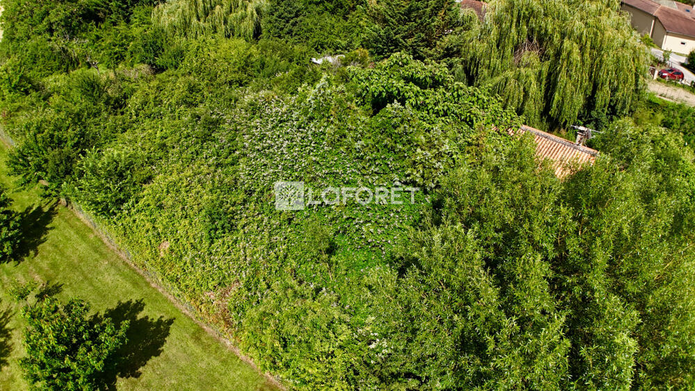 Vente Terrain Terrain Cormoranche sur Saône 2000 m2 Cormoranche sur saone