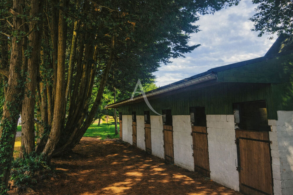 Vente Maison Propriété equestre Nozay Nozay
