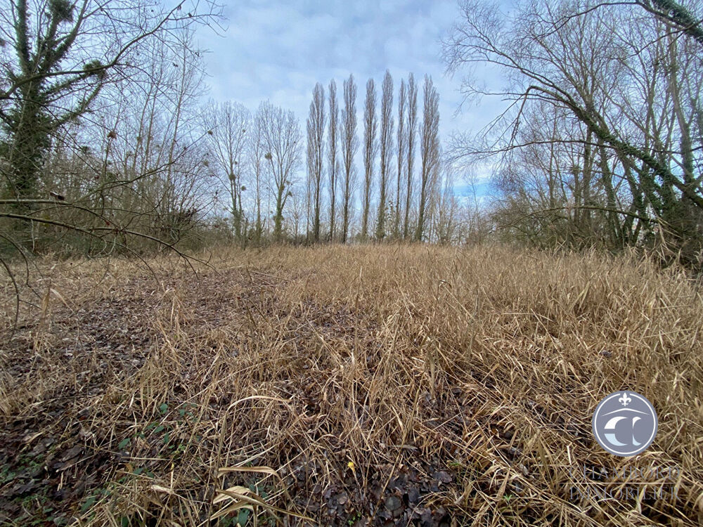 Vente Terrain Terrain de Loisirs à Vendre dans le Controis en Sologne/ Un Cadre Verdoyant Le controis en sologne