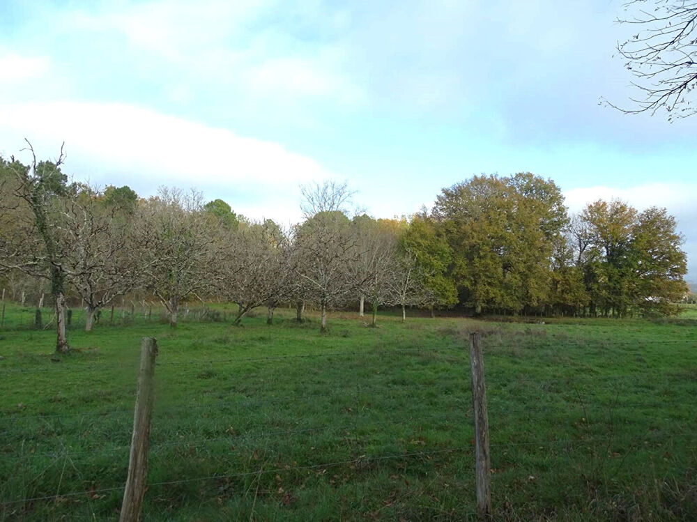 Vente Terrain Terrain Douzillac 3972 m2 Douzillac